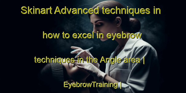 Skinart Advanced techniques in how to excel in eyebrow techniques in the Angle area | EyebrowTraining | EyebrowClasses | SkinartTraining-France